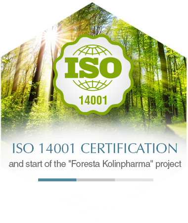 Iso 14001