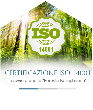 Iso 14001